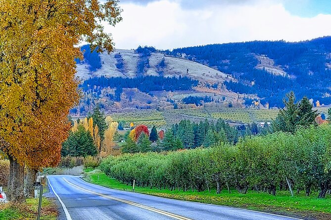 Private Tour at The Hood-Columbia Loop: Timberline, Orchards, and Waterfalls - Bridges, dams, and the Gorge’s working river