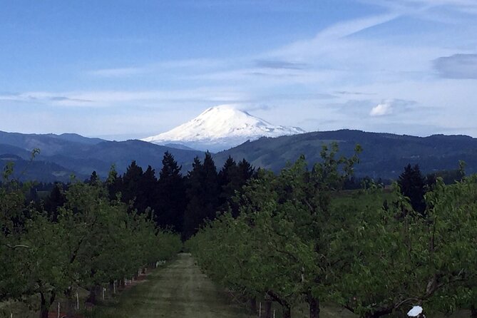 Private Tour at The Hood-Columbia Loop: Timberline, Orchards, and Waterfalls - Crown Point, Rooster Rock, and the ride back