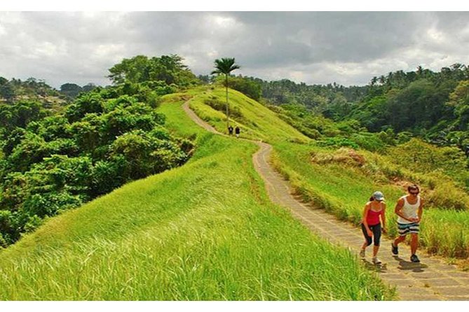 Private Tour: Campuhan Ridge Walk, Ubud Rice Terrace & Ubud Palace - Quick reasons to consider this Ubud day trip