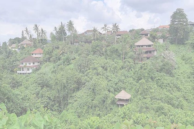 Private Tour: Campuhan Ridge Walk, Ubud Rice Terrace & Ubud Palace - The Ceking Rice Terrace adds a classic Ubud view