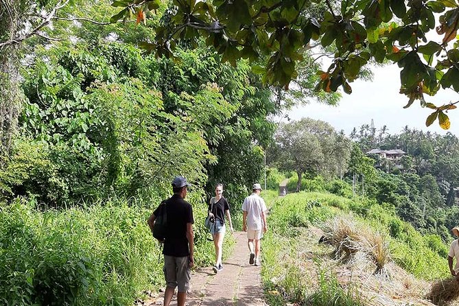 Private Tour: Campuhan Ridge Walk, Ubud Rice Terrace & Ubud Palace - Ubud Art Market is your chance to browse