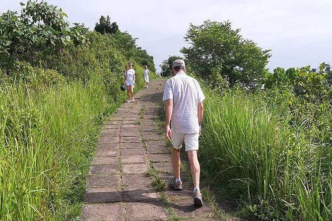 Private Tour: Campuhan Ridge Walk, Ubud Rice Terrace & Ubud Palace - What the private format changes