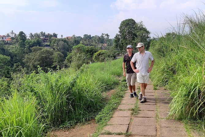 Private Tour: Campuhan Ridge Walk, Ubud Rice Terrace & Ubud Palace - Timing, comfort, and practical limits