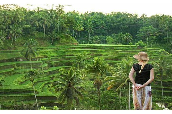 Private Tour: Campuhan Ridge Walk, Ubud Rice Terrace & Ubud Palace - Who will enjoy this Ubud route most?