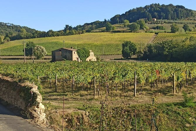 PRIVATE TOUR: Chianti Afternoon tour with visit to 2 wine farms - The essential points at a glance