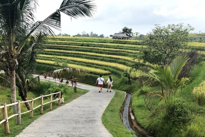 Private Tour from Leke-Leke Waterfall to Jatiluwih Rice Terrace - Handara Iconic Gate in 30 minutes