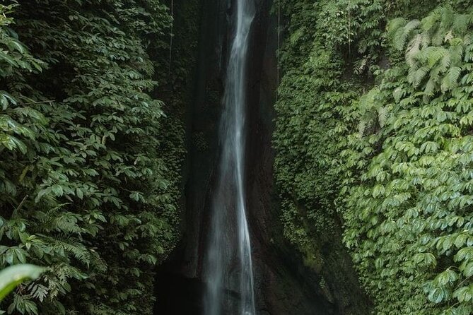 Private Tour from Leke-Leke Waterfall to Jatiluwih Rice Terrace - Lunch with a view at CataVaca Jatiluwih