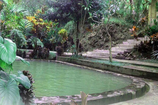 Private Tour from Leke-Leke Waterfall to Jatiluwih Rice Terrace - Bali Butterfly Park: a change of pace