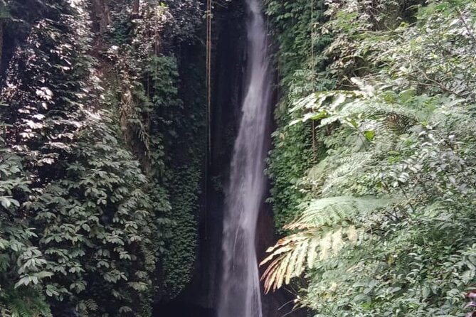 Private Tour from Leke-Leke Waterfall to Jatiluwih Rice Terrace - Leke-Leke Waterfall: the quiet opening stop