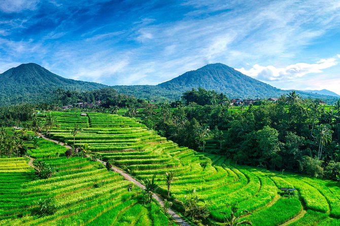 Private Tour: Handara Iconic Gate, rice terrace & Ulundanu Temple - Handara Gate: a polished photo stop