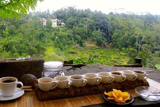 Private Tour: Jatiluwih Rice Terrace,Ulun danu and Banyu Mala Waterfall Tour - Handara Gate and the Final Photo Stop