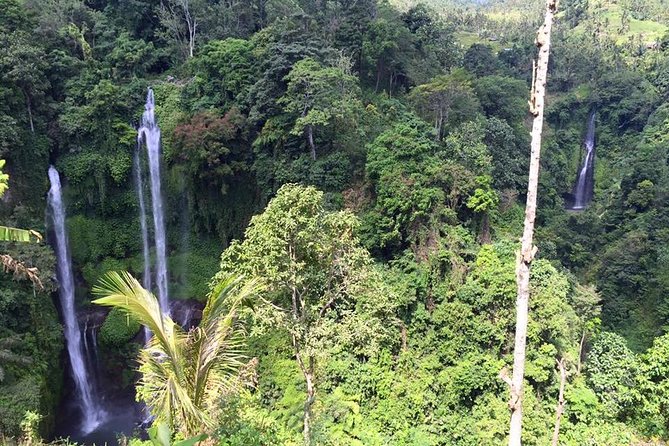 Private Tour: Jatiluwih Rice Terrace,Ulun danu and Banyu Mala Waterfall Tour - What the Private Price of $82.29 Really Buys
