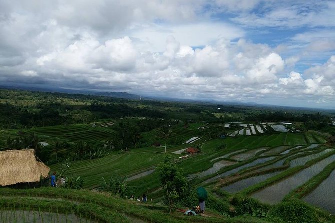 Private Tour: Jatiluwih Rice Terrace,Ulun danu and Banyu Mala Waterfall Tour - Guide Quality and Communication