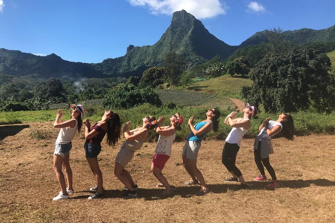 Private Tour Moorea 4WD - Belvedere Pineapple Farm, Magic Mount. - Moorea Tropical Garden brings plants and flavors together