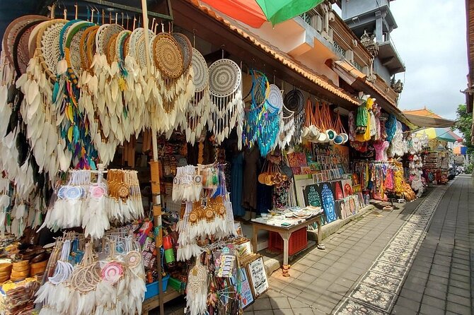 Private Tour : Mt. Batur View, Rice Terrace, Waterfall & More. - Why the private format matters on Bali’s roads