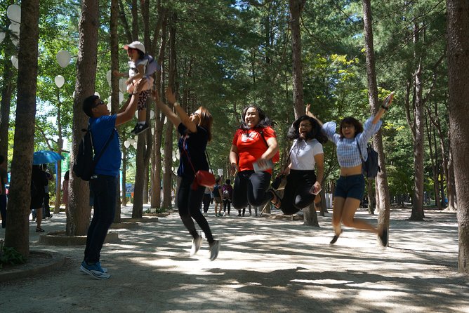 Private Tour: Nami Island& (Alpaca World 'or' Morning Calm)&Lunch - Why this private countryside day works
