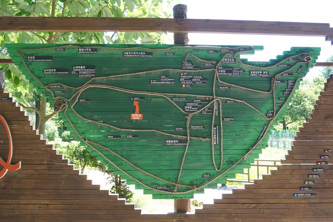 Private Tour: Nami Island& (Alpaca World 'or' Morning Calm)&Lunch - What lunch adds to the day