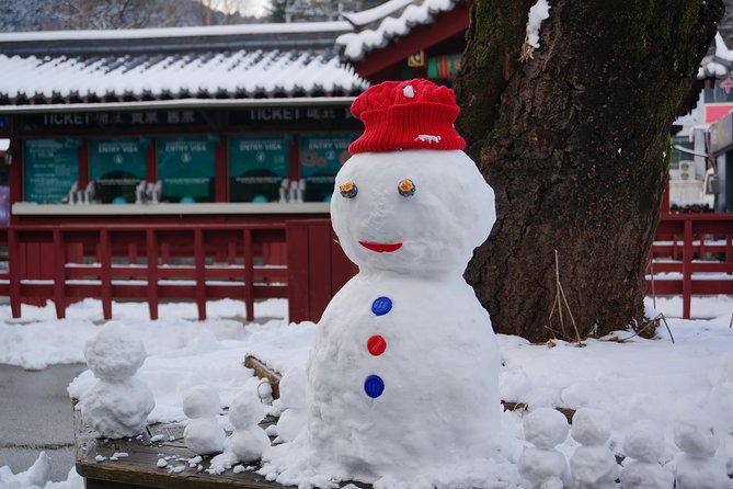 Private Tour: Nami Island& (Alpaca World 'or' Morning Calm)&Lunch - How the guide can change the experience