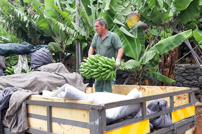 Private Tour of Banana Farm from Funchal - What the $80.98 price really covers