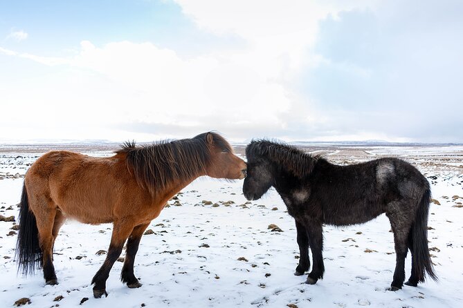 Private Tour Of The Golden Circle With Farm Visits In Iceland - Geysir and Strokkur: The Reliable Eruption