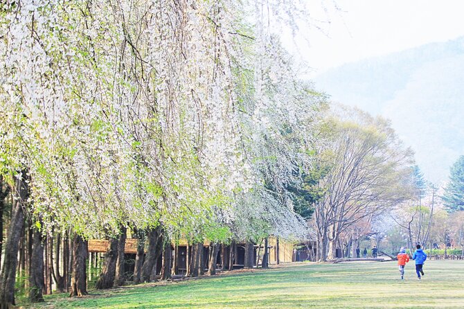 Private Tour to Alpaca world &Nami Island& Railbike with Tickets - The day’s pace, pickup, and practical comfort