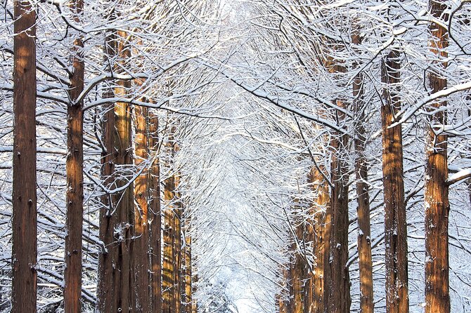 Private Tour to Alpaca world &Nami Island& Railbike with Tickets - Who should book this private day