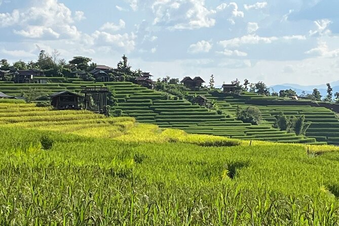 Private Tour to Chiang Mai Rice Terraces and National Park - Key points at a glance