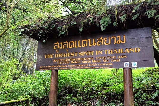 Private Tour to Chiang Mai Rice Terraces and National Park - A private vehicle makes a long day easier
