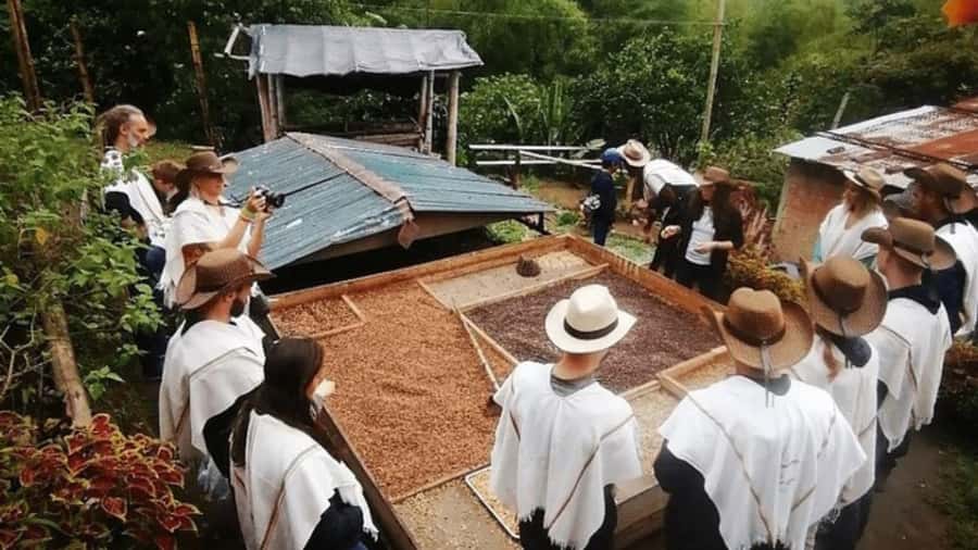 Private Tour to Coffee Farm (farm of your choice) - Key points at a glance