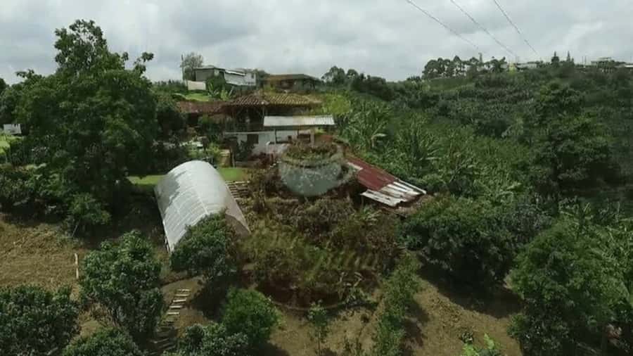 Private Tour to Coffee Farm (farm of your choice) - What you learn about Colombian coffee
