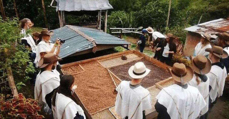 Private Tour to Coffee Farm (farm of your choice) - Booking details worth checking first