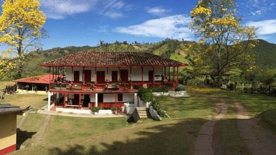 Private Tour to Coffee Farm (farm of your choice) - From Pereira pickup to the coffee fields