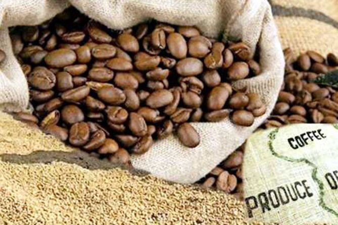 Private Tour to Fairview Coffee Farm in Nairobi with Pickup - Pickup, driving time, and the private setup