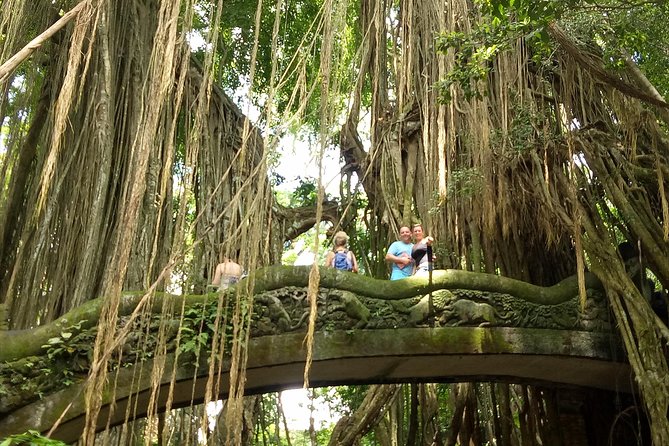 Private Tour to Sumampan Waterfall, Monkey forest, Rice terraces and Swing - A full Ubud day from waterfall to rice fields