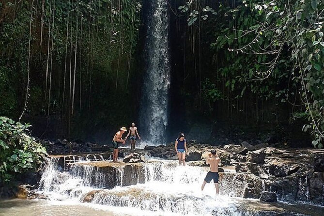 Private Tour to Sumampan Waterfall, Monkey forest, Rice terraces and Swing - Tegalalang Rice Terrace, Ubud’s classic view