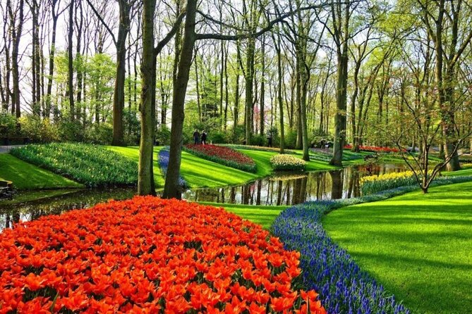 Private Tour to Tulips, Keukenhof, Windmills & Cheese Farm - The timing deserves a careful look