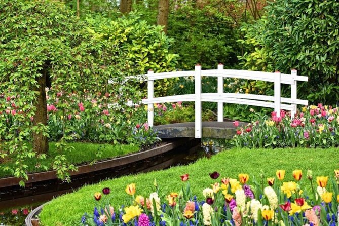 Private Tour to Tulips, Keukenhof, Windmills & Cheese Farm - Is $470.43 per person a fair price?
