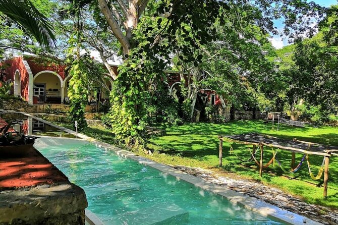 Private Tour to Uxmal & Hacienda Yunku with cenote by Yucatan Concierge - Cooling off in the cenote