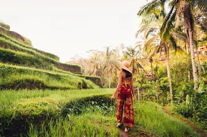 Private Tour Ubud: Swing at Rice Field with Temple and Waterfall - Aloha Ubud Swing: dramatic photos with an extra cost