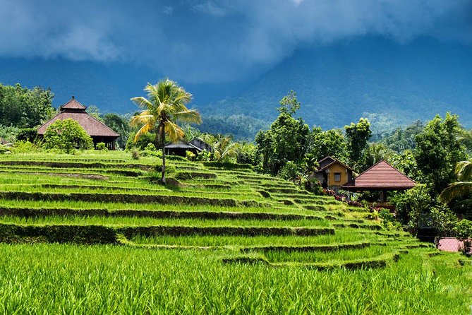 Private tour- UNESCO rice terraces, Ulundanu Beratan, Batukaru, Tanah lot temple - Ulun Danu Beratan and the water goddess
