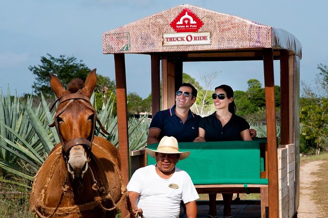 Private Tour: Uxmal & Hacienda Sotuta de Peon by Yucatan Concierge - Why this pairing works so well