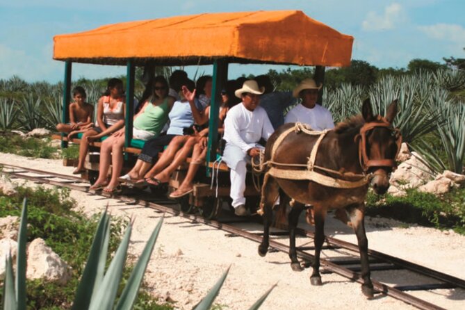 Private Tour: Uxmal & Hacienda Sotuta de Peon by Yucatan Concierge - The cenote swim is the day’s best reset