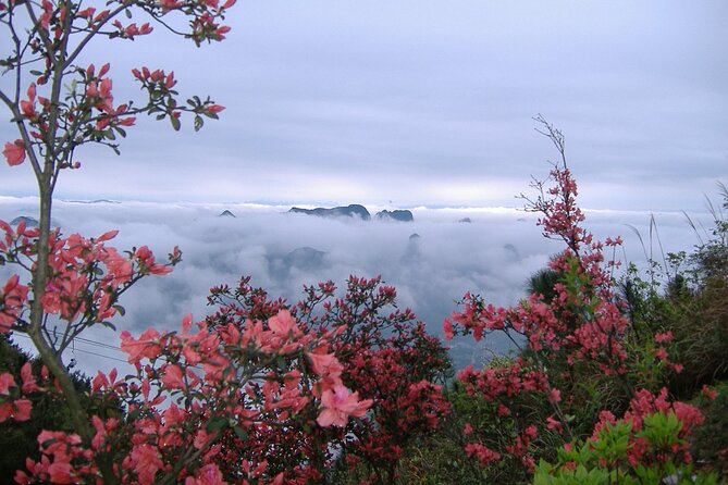 Private Tour: Yao Mountain and Tea Plantation from Guilin - How the five-hour schedule feels