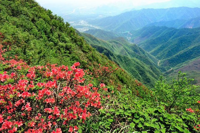 Private Tour: Yao Mountain and Tea Plantation from Guilin - The tea plantation adds culture, with a sales warning