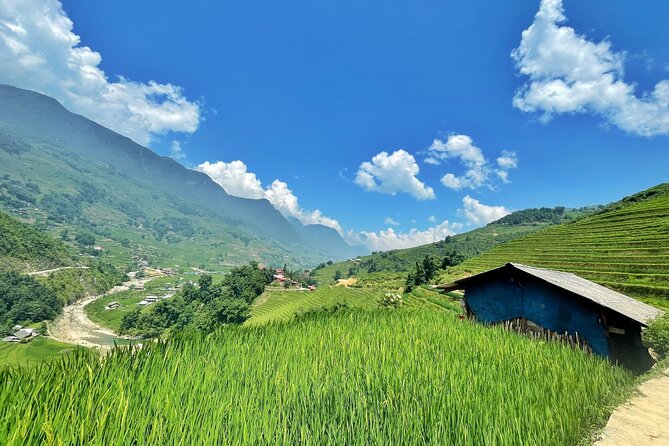 Private Trekking through Terraces Rice Fields in Sapa - Why this Sapa walk is worth your morning