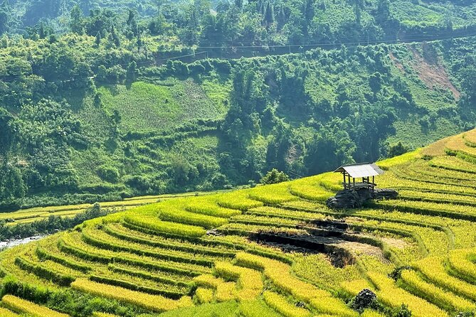 Private Trekking through Terraces Rice Fields in Sapa - Who will enjoy this private trek most