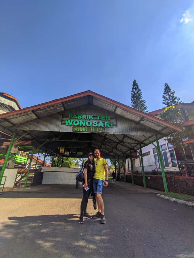 Private Trip Malang/Surabaya : Tour Tea Plantation Wonosari - What makes this tea tour worth your time