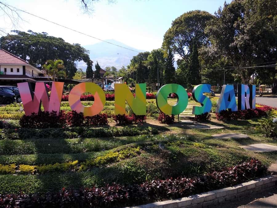 Private Trip Malang/Surabaya : Tour Tea Plantation Wonosari - Private groups and the pace of the visit