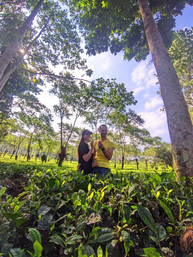 Private Trip Malang/Surabaya : Tour Tea Plantation Wonosari - Walking through the tea garden