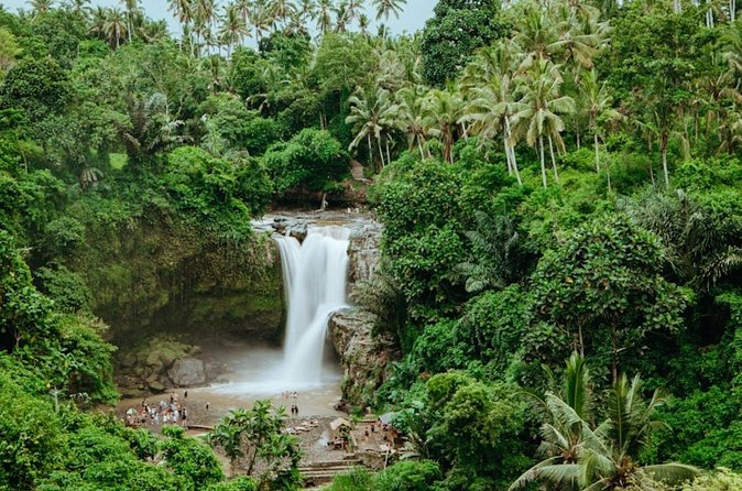 Private Ubud Day Tour Waterfalls Sacred Monkeys and Rice Fields - Tegenungan Waterfall: Choose your level of effort